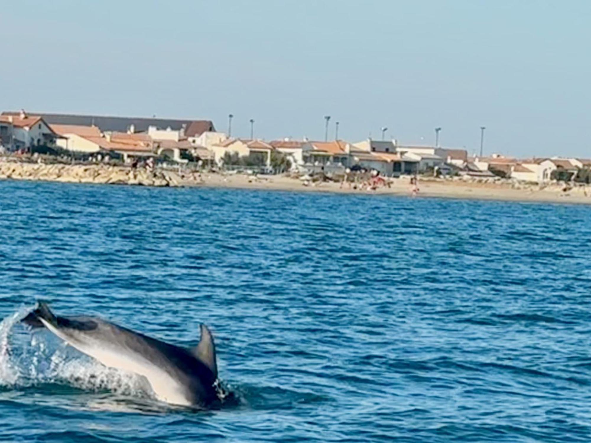 Mas Du Couvin, Maison D'Hotes En Camargue Сент-Марі-де-ла-Мер Екстер'єр фото
