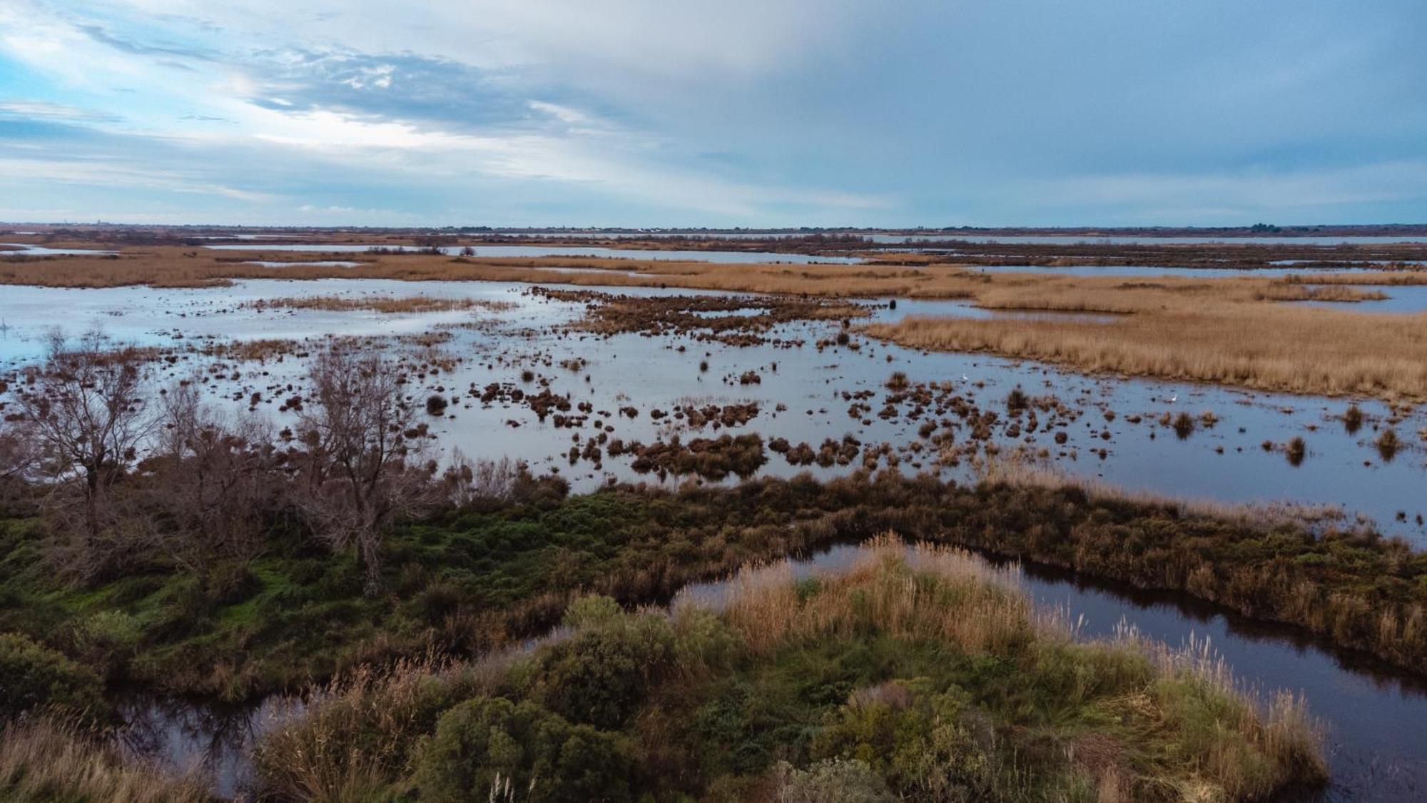 Mas Du Couvin, Maison D'Hotes En Camargue Сент-Марі-де-ла-Мер Екстер'єр фото