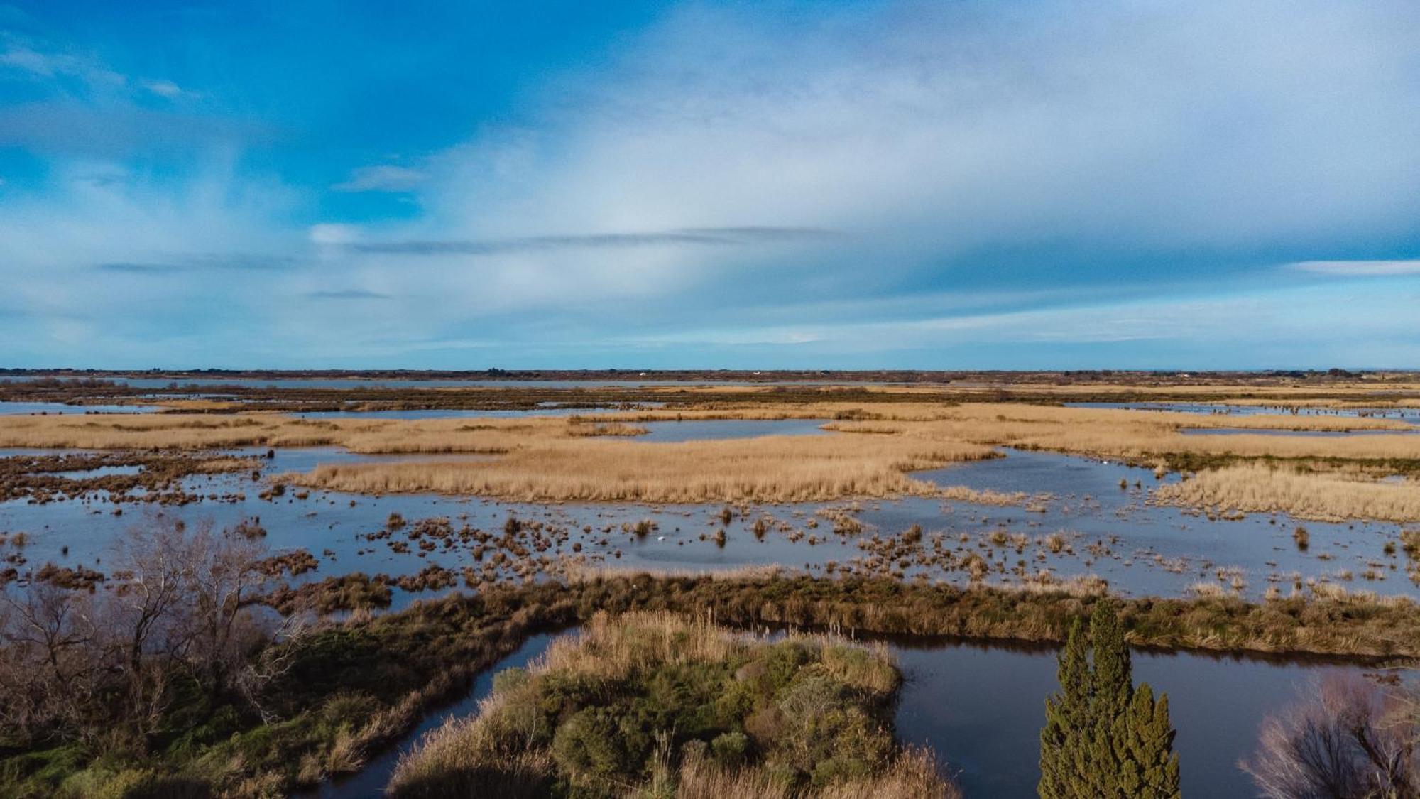 Mas Du Couvin, Maison D'Hotes En Camargue Сент-Марі-де-ла-Мер Екстер'єр фото