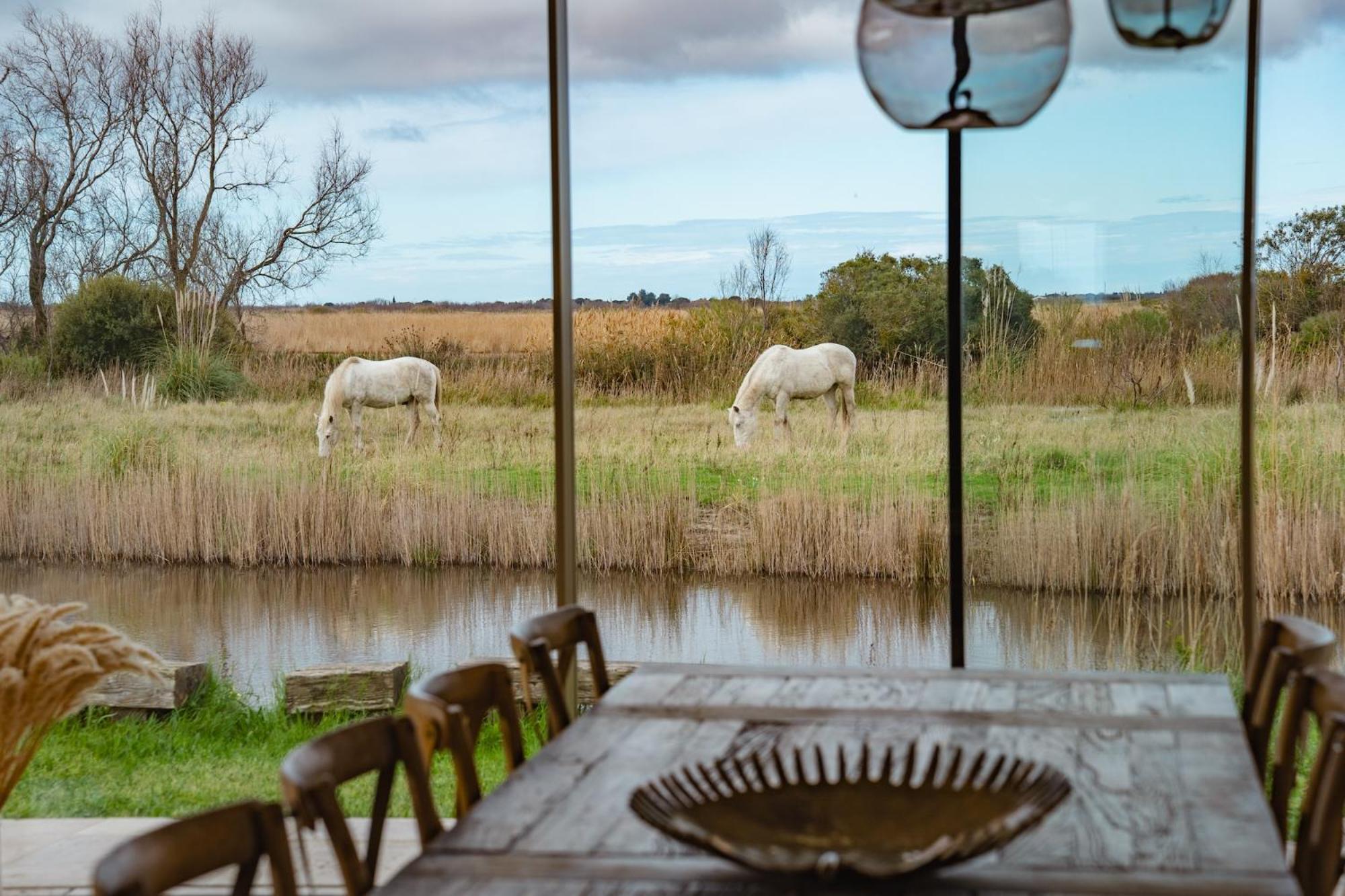 Mas Du Couvin, Maison D'Hotes En Camargue Сент-Марі-де-ла-Мер Екстер'єр фото