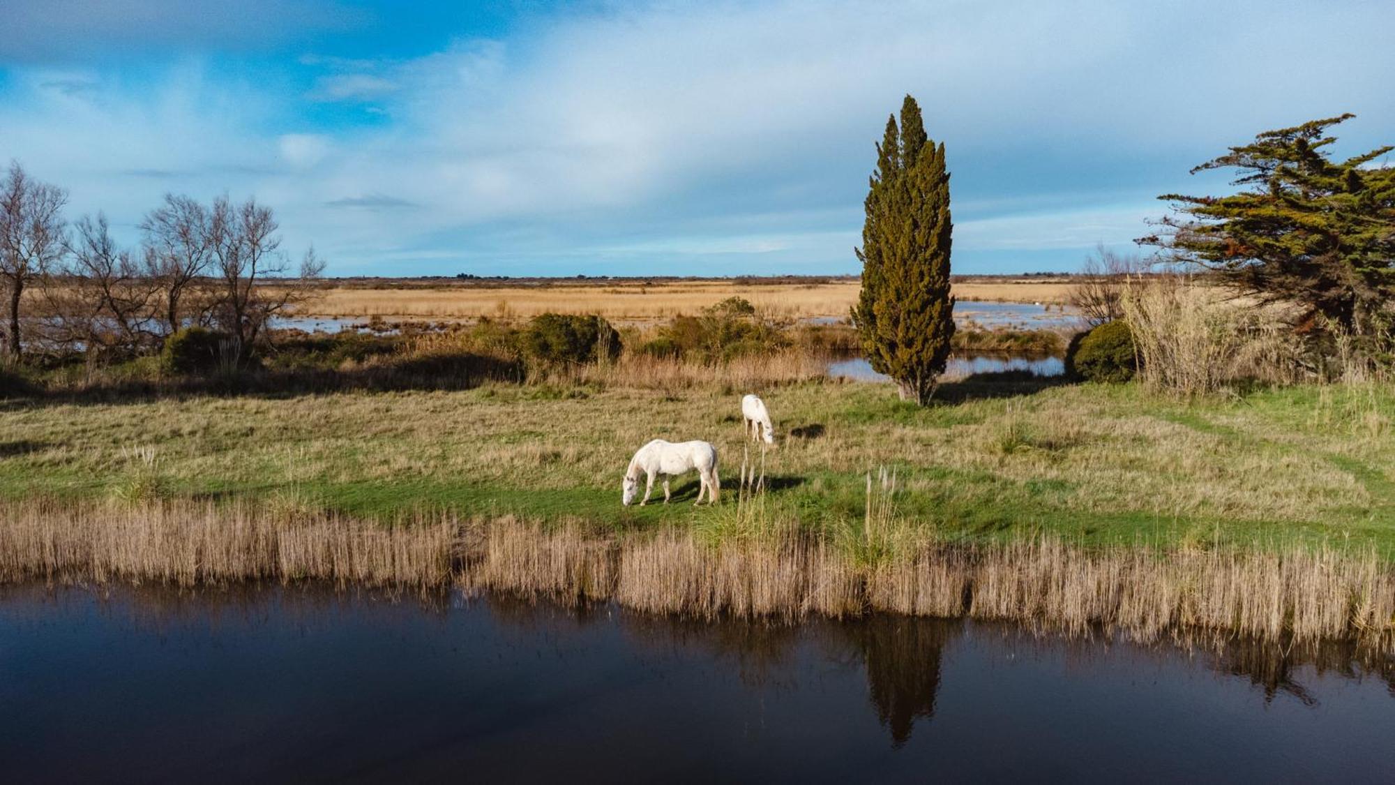 Mas Du Couvin, Maison D'Hotes En Camargue Сент-Марі-де-ла-Мер Екстер'єр фото